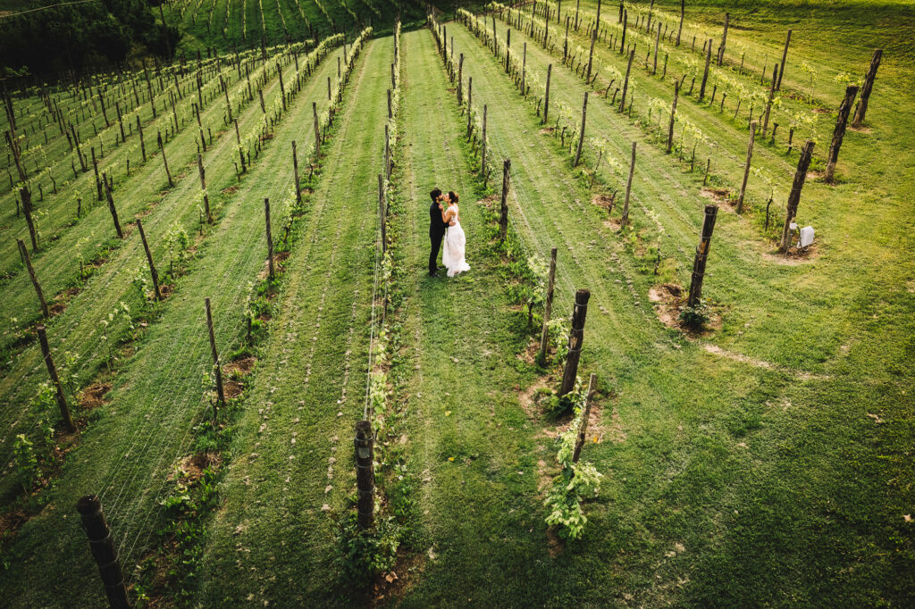 Wedding couple in a vineyard in Piedmont, Italy